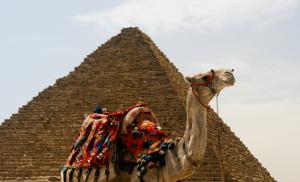 Сфинкс старше египетских пирамид Египетские пирамиды эпоха